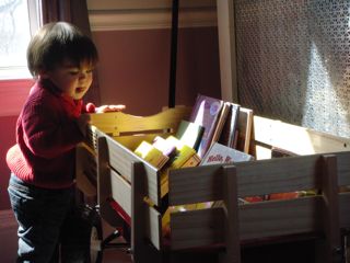 Noby checking out Avery's book collection!